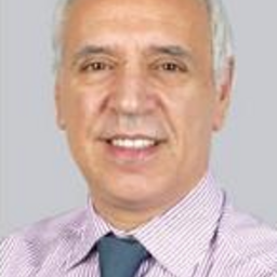 Steve Cuozzo