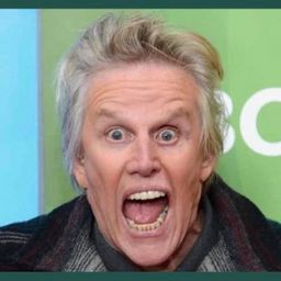 Gary Busey