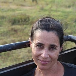 Judy Maltz